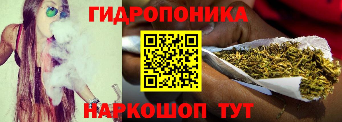 Бошки марихуана MAZAR Можга
